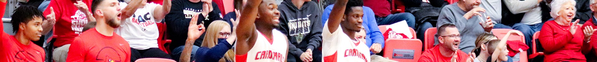 basketball_crowd banner.jpg