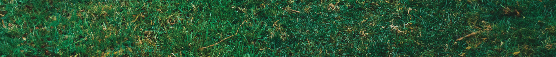 Goat Class_web banner.png