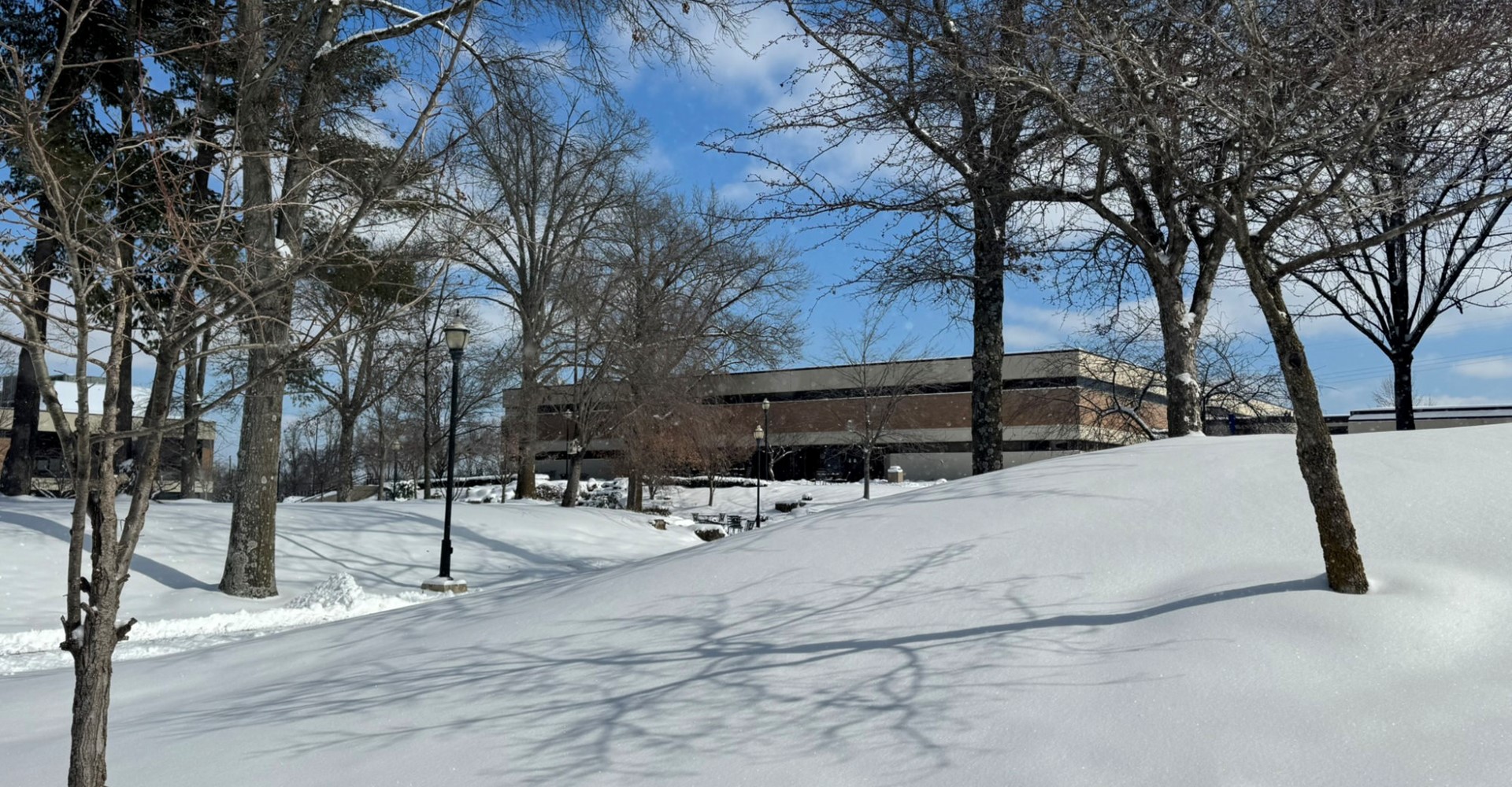 IMG_7083.jpg
